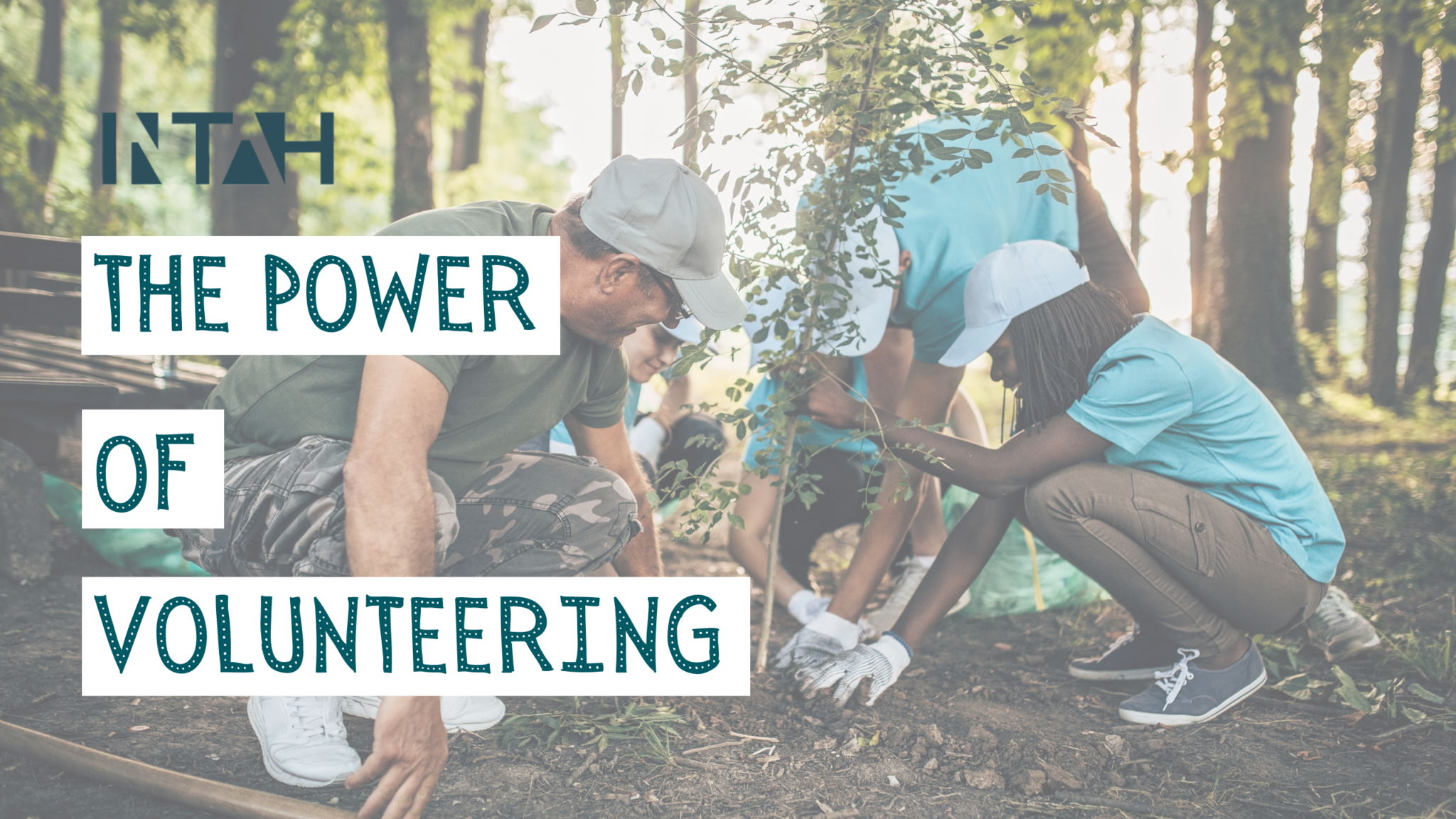 The Power of Volunteering - InTah